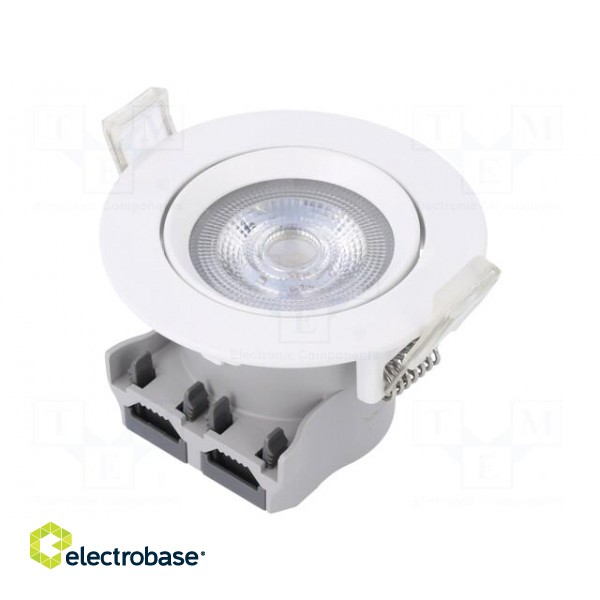 Lamp: LED spotlight | 220/240VAC | 5W | neutral white | 36° | 4000K image 1