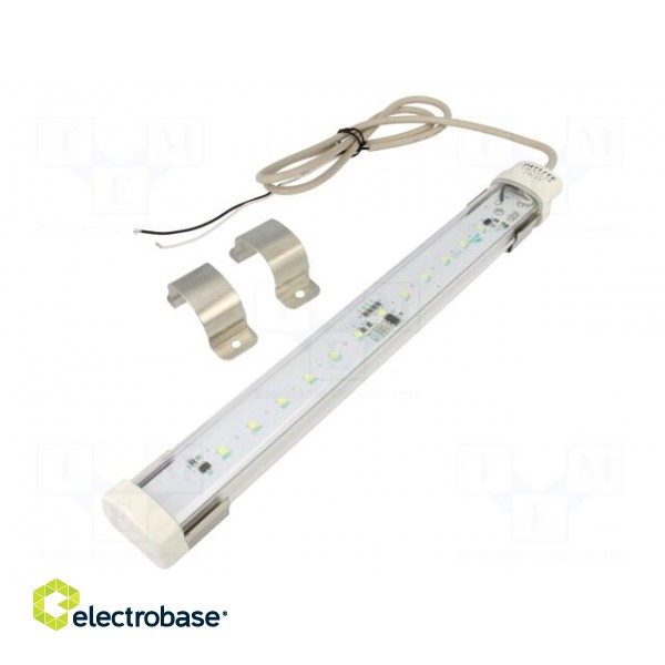 LED lamp | cool white | 385lm | 6500K | -30÷60°C | 24VDC | IP65 | 1m