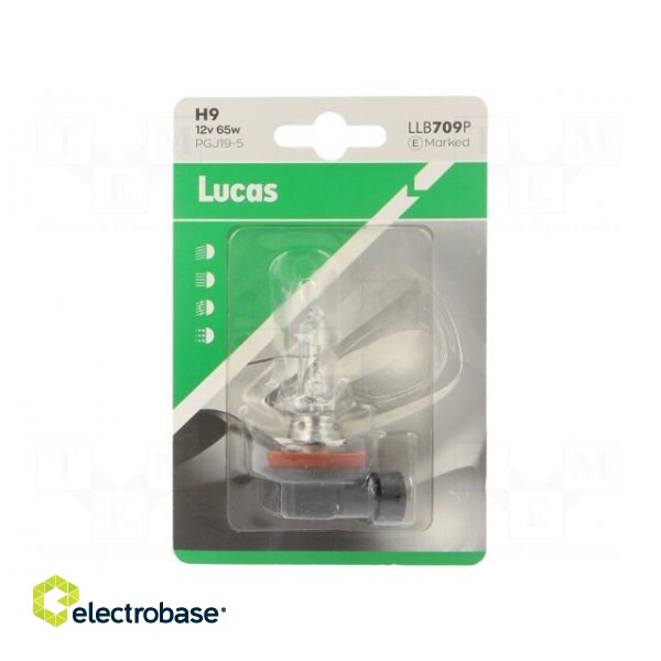 Filament lamp: automotive | PGJ19-5 | transparent | 12V | 65W | LLB