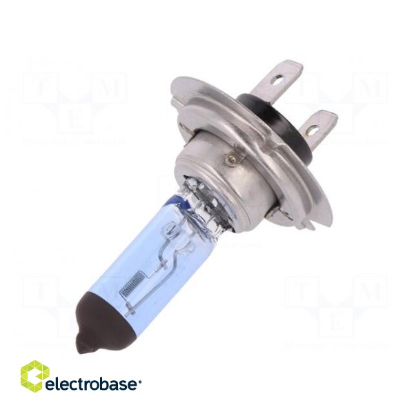 Filament lamp: automotive | PX26d | dark blue | 12V | 100W | RALLY image 2