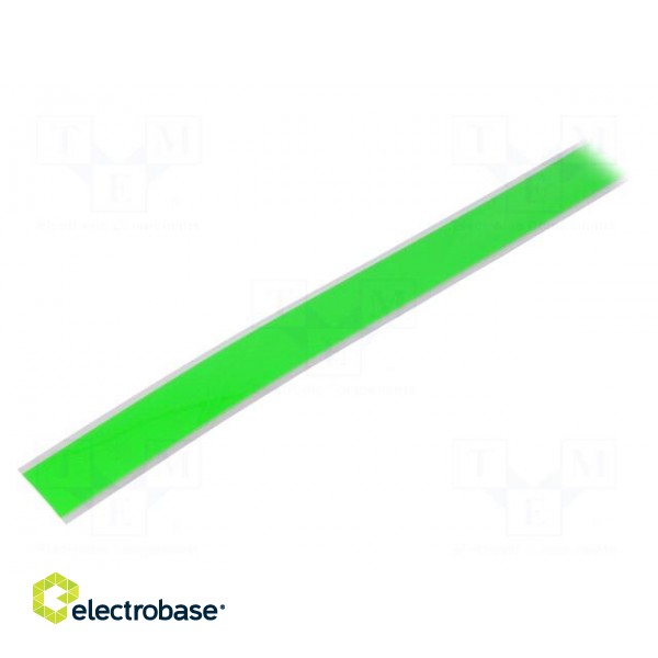 EL tape | L: 5000mm | Colour: extreme green | 262cd/m2 | λd: 553nm