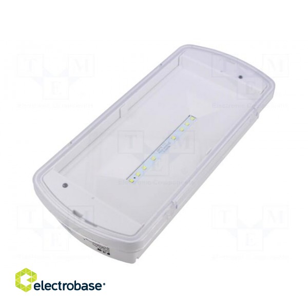 Lamp: LED emergency luminaire | SafeLite | IP42 | white | 230VAC
