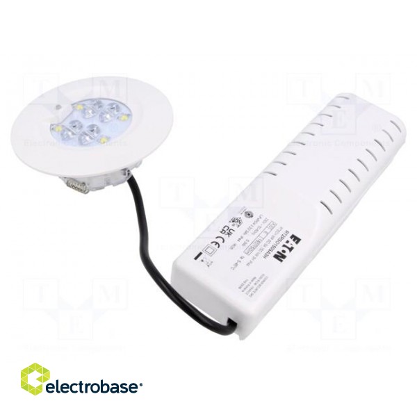 Lamp: LED emergency luminaire | RoundTech | IP44 | white | 0.3W | 150lm