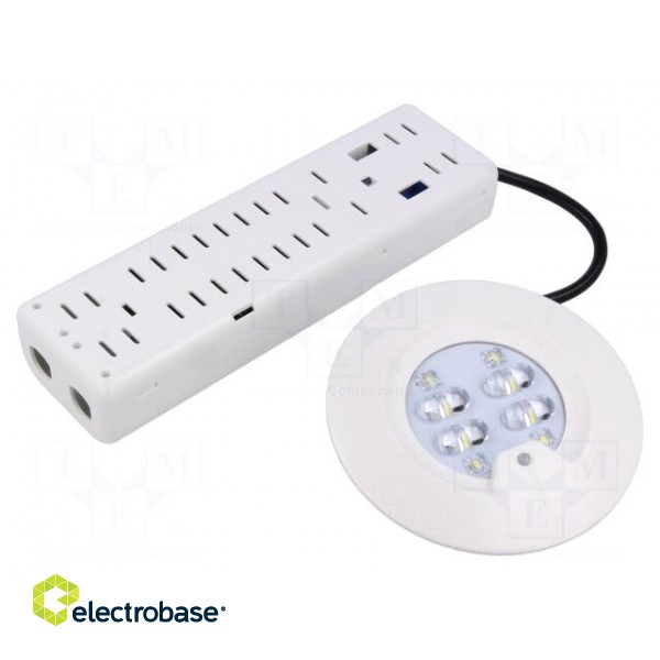 Lamp: LED emergency luminaire | RoundTech | IP65 | white | 1.1W | 200lm