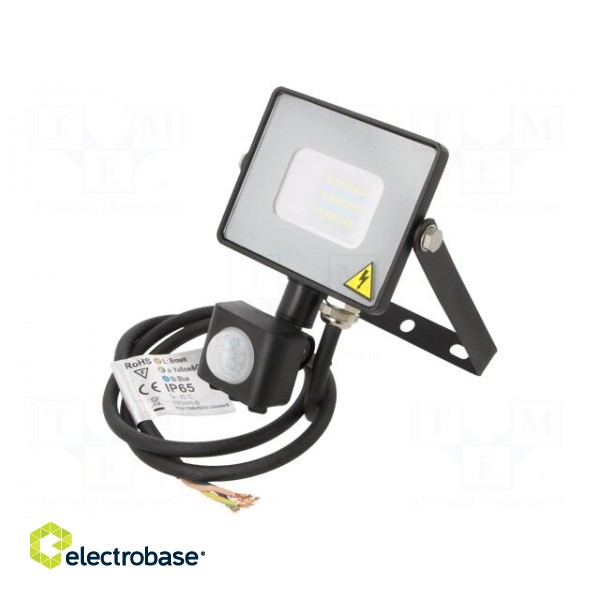 Lamp: LED flood light | 220/240VAC | 10W | cool white | 100° | 6400K фото 1