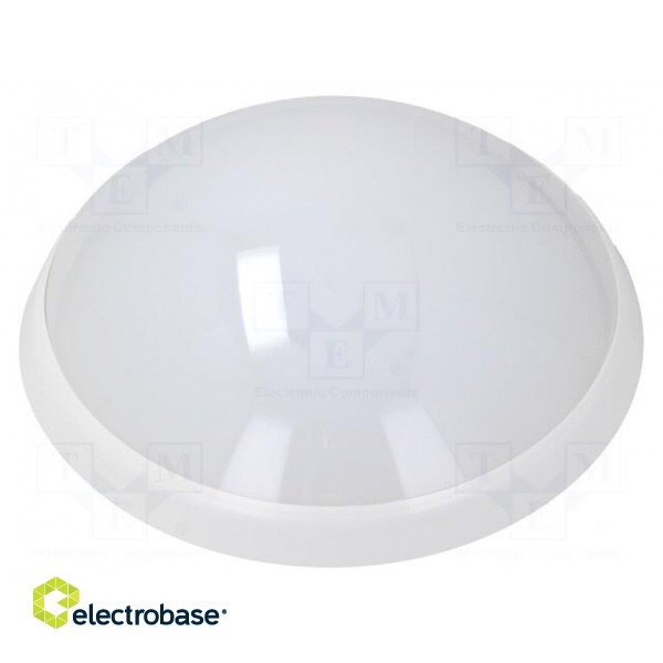Lamp: LED lighting fixture | PANTERA LED | polycarbonate | 4000K image 1