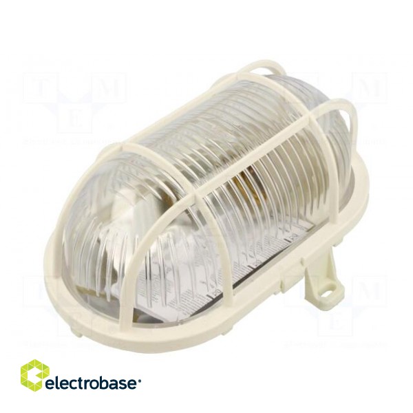 Lamp: lighting fixture | OVAL100 | polycarbonate | E27 | IP44 | oval