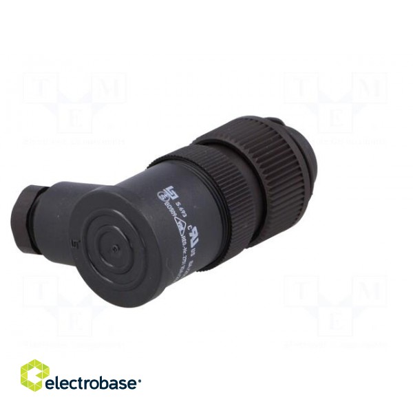 Connector: circular | plug | 692,693,RD24 | male | PIN: 7 | unshielded image 6