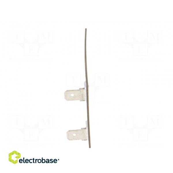 Resistor: thick film | heating | screw | 100W | connectors 6,3mm фото 5