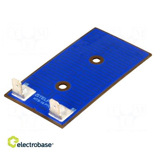 Resistor: thick film | heating | screw | 100W | 6,3mm connectors paveikslėlis 1