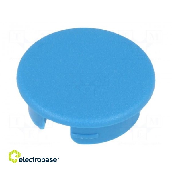 Cap | ABS | blue | push-in | Application: A2516,A2616 | Shape: round