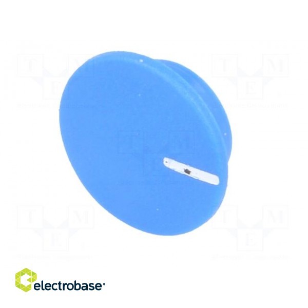 Cap | plastic | push-in | blue | K21 image 2