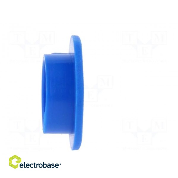Cap | plastic | push-in | blue | Application: K21 image 7