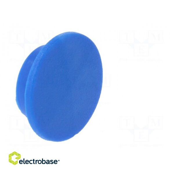 Cap | plastic | push-in | blue | Application: K21 image 8