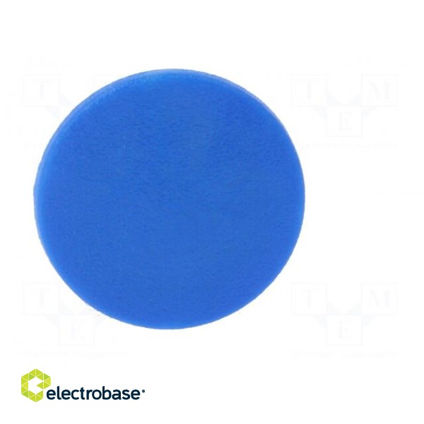 Cap | plastic | push-in | blue | Application: K21 image 9