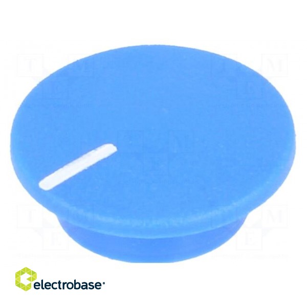 Cap | plastic | push-in | blue | K21 image 1