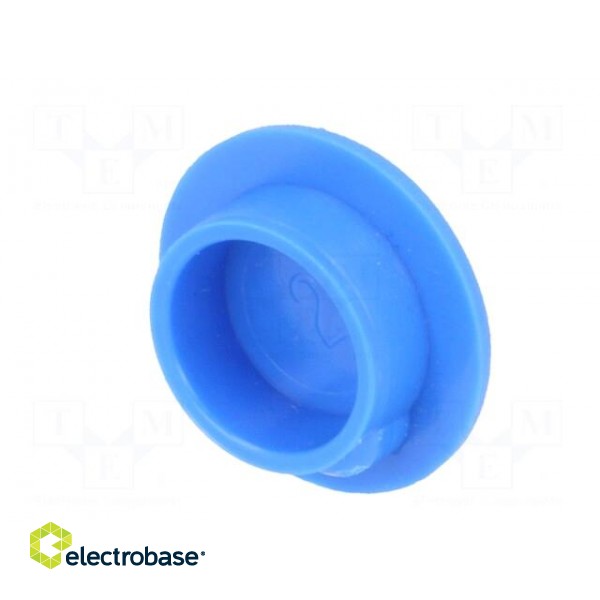 Cap | plastic | push-in | blue | Application: K21 paveikslėlis 6