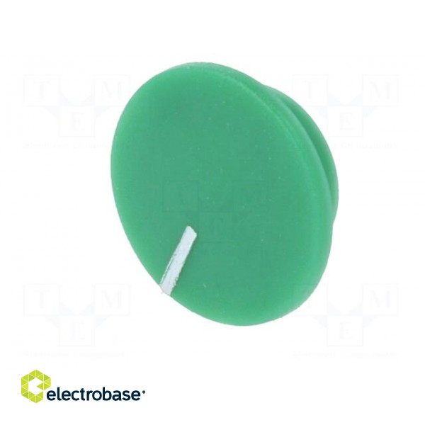 Cap | plastic | push-in | green | K21 paveikslėlis 2