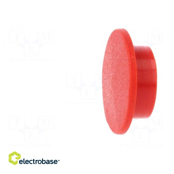 Cap | plastic | push-in | red | Application: K21 paveikslėlis 3
