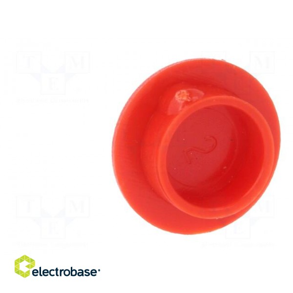 Cap | plastic | push-in | red | Application: K21 paveikslėlis 5