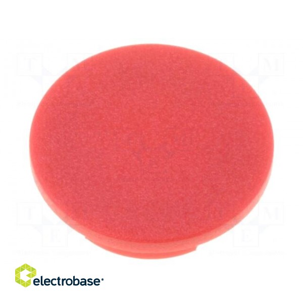 Cap | plastic | red | push-in | Application: G4310.6131