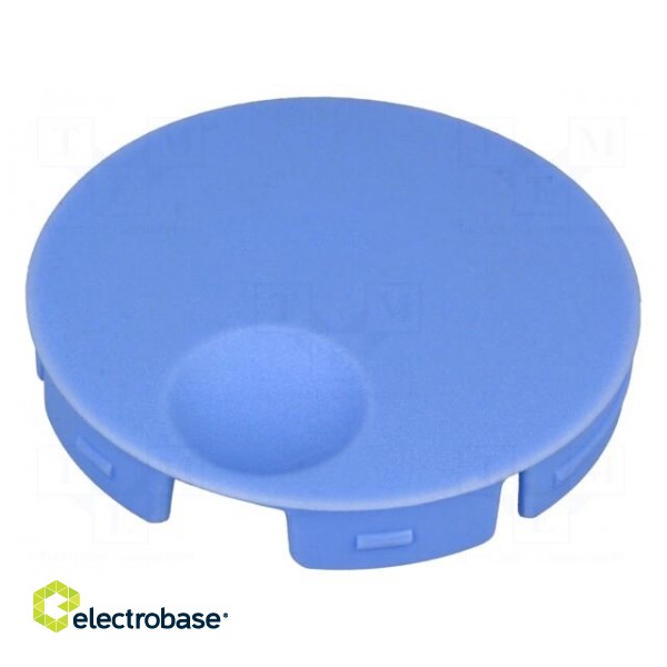 Cap | polyamide | blue | push-in | Application: A3040,A3140