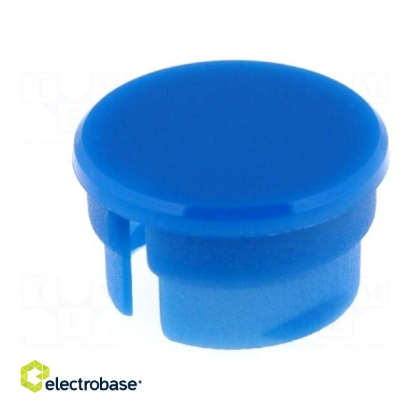 Cap | polyamide | blue | 15mm | -20÷70°C | G15