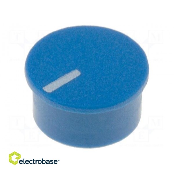 Cap | thermoplastic | push-in | Pointer: white | blue