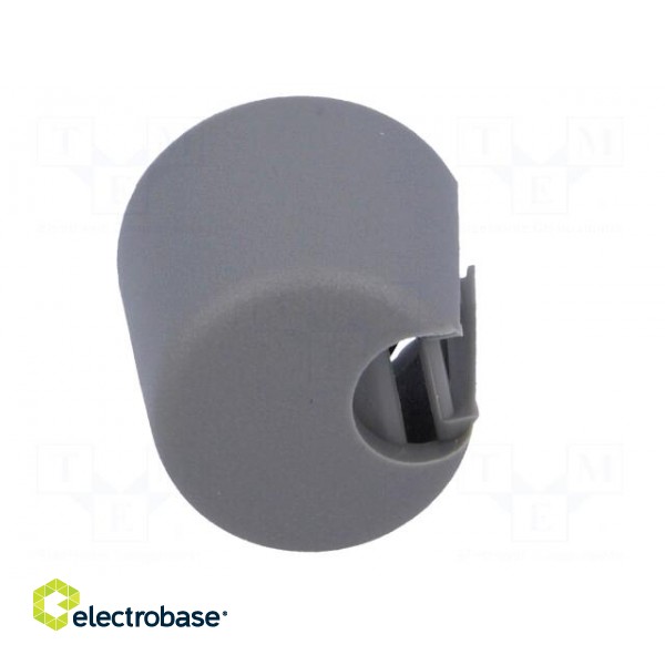 Knob | with pointer | plastic | Øshaft: 6mm | Ø16x16mm | grey | push-in image 9