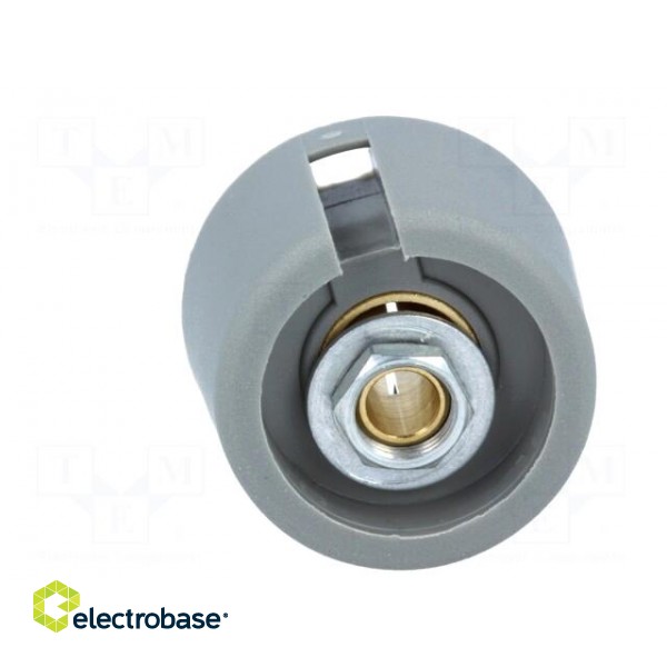 Knob | with pointer | polyamide | Øshaft: 4mm | Ø23x16mm | grey фото 9