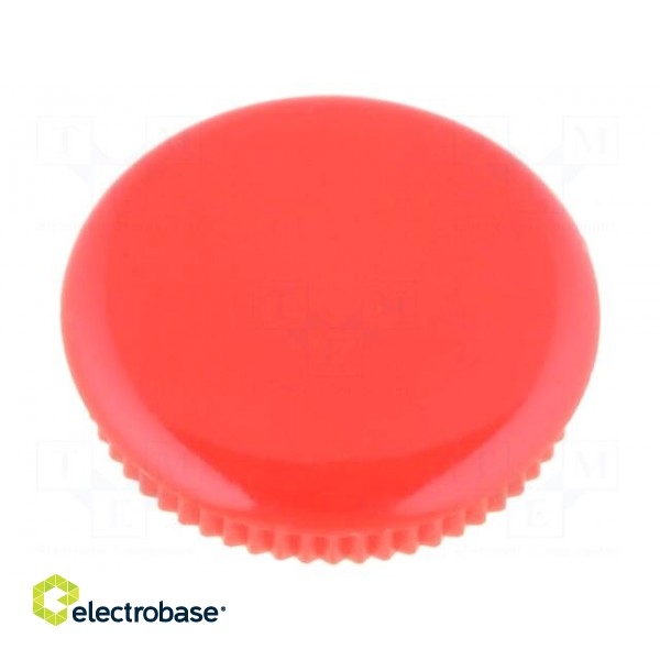 Cap | Colour: red | Mounting: push-in | Mat: plastic