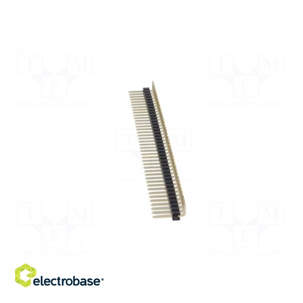 Pin header | pin strips | male | PIN: 40 | angled 90° | 2.54mm | THT | 1x40 image 3