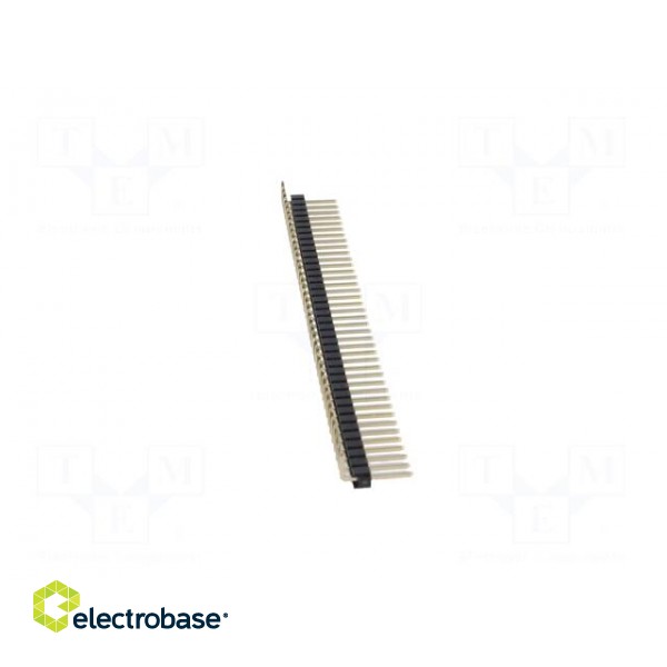 Pin header | pin strips | male | PIN: 40 | angled 90° | 2.54mm | THT | 1x40 image 7