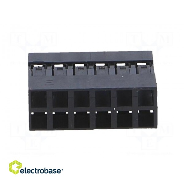 Plug | pin strips | NSR/NDR | female | PIN: 12 | w/o contacts | 2.54mm image 5