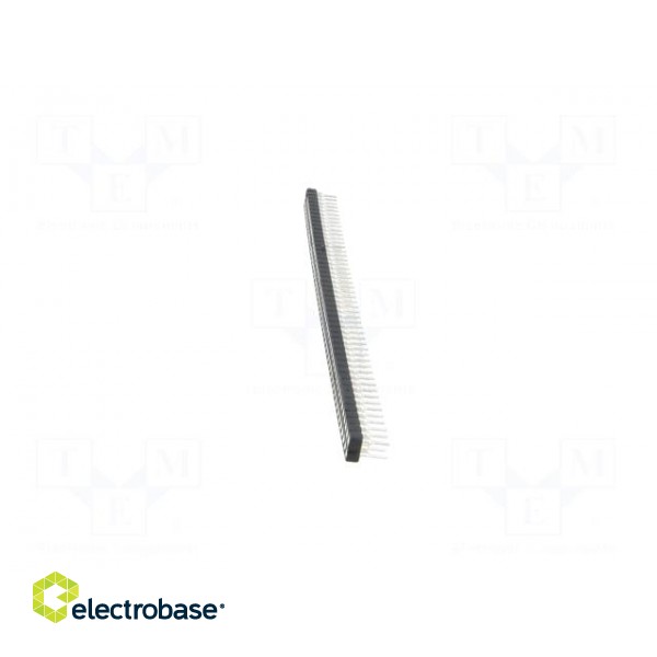 Socket | pin strips | female | PIN: 100 | turned contacts | straight image 3