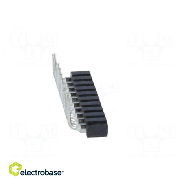Socket | pin strips | female | PIN: 10 | turned contacts | angled 90° image 7