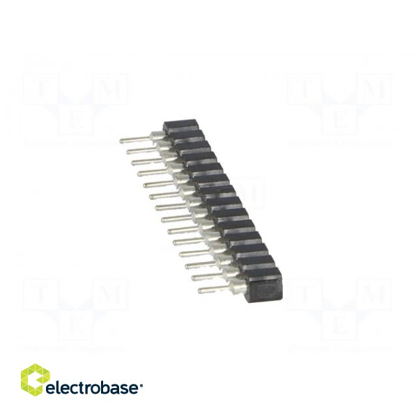 Socket | pin strips | female | PIN: 14 | turned contacts | straight image 7