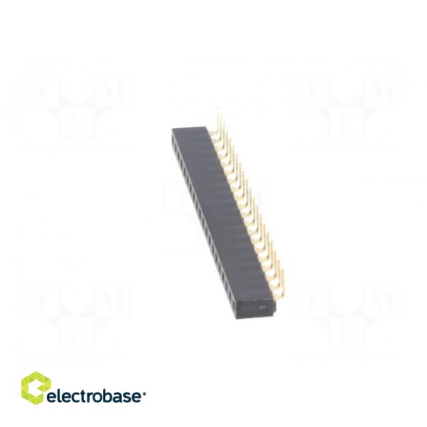 Socket | pin strips | female | PIN: 20 | angled 90° | 2.54mm | THT | 1x20 image 3