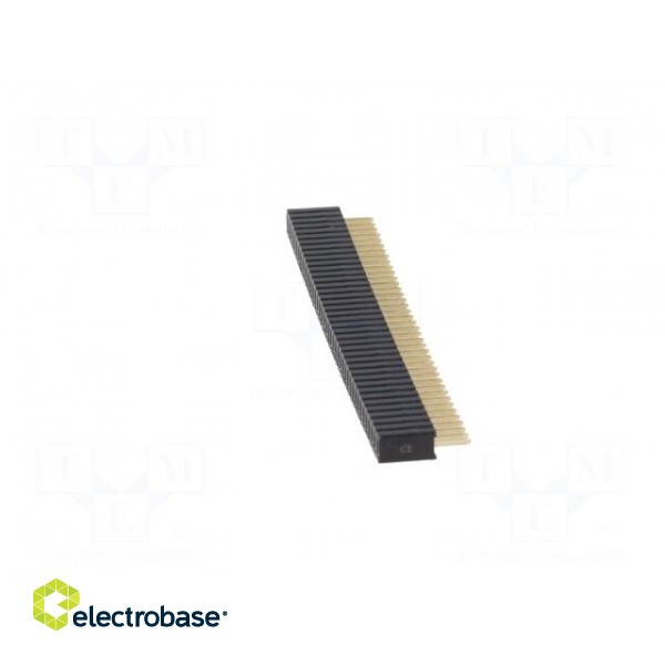 Socket | pin strips | female | PIN: 40 | straight | 1.27mm | THT | 1x40 image 3