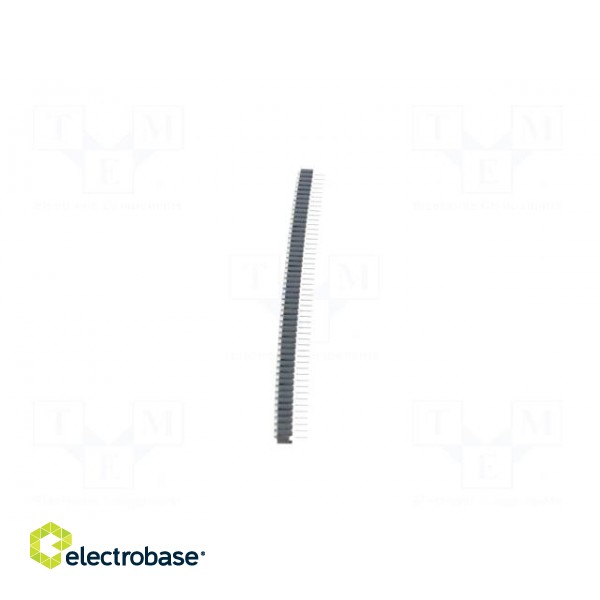 Socket | pin strips | female | PIN: 50 | turned contacts | straight image 3