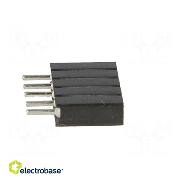 Socket | pin strips | female | PIN: 5 | turned contacts | straight | THT image 7