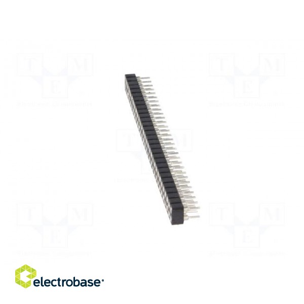 Socket | pin strips | female | PIN: 60 | turned contacts | straight image 3