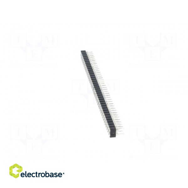 Socket | pin strips | female | PIN: 80 | turned contacts | straight image 3