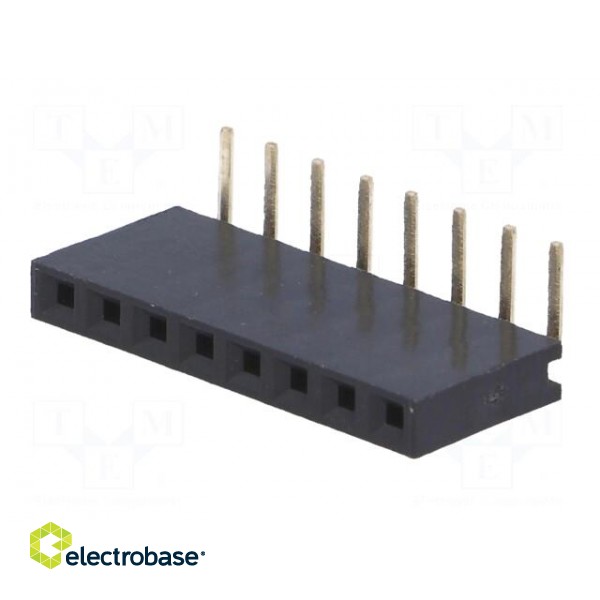 Connector: pin strips | socket | female | PIN: 8 | angled 90° | 2.54mm paveikslėlis 2