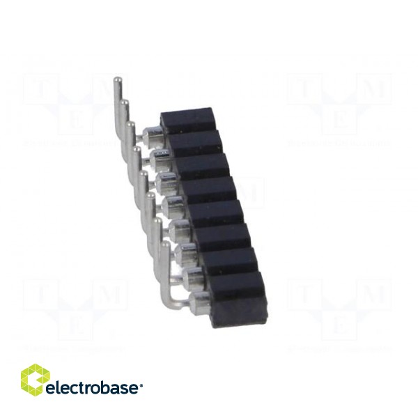 Socket | pin strips | female | PIN: 8 | turned contacts | angled 90° image 7