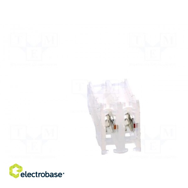 Plug | wire-board | female | PIN: 2 | end connector | 2.54mm | IDC | 22AWG image 5