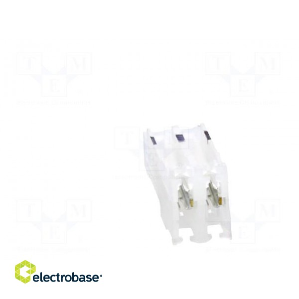 Plug | wire-board | female | PIN: 2 | end connector | 2.54mm | IDC | 24AWG image 5