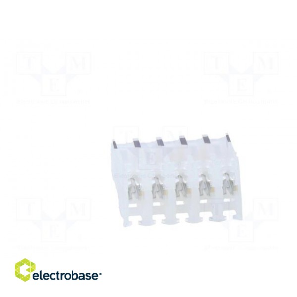 Plug | wire-board | female | PIN: 5 | end connector | 2.54mm | IDC | 24AWG image 5