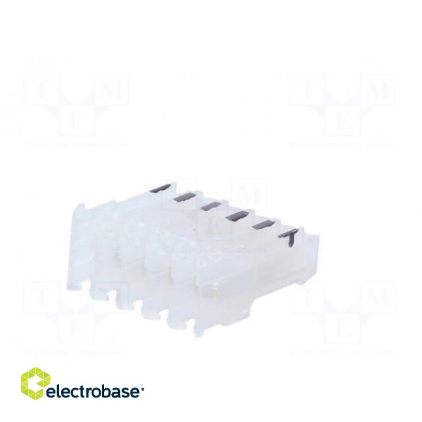 Plug | wire-board | female | PIN: 5 | end connector | 2.54mm | IDC | 24AWG image 6