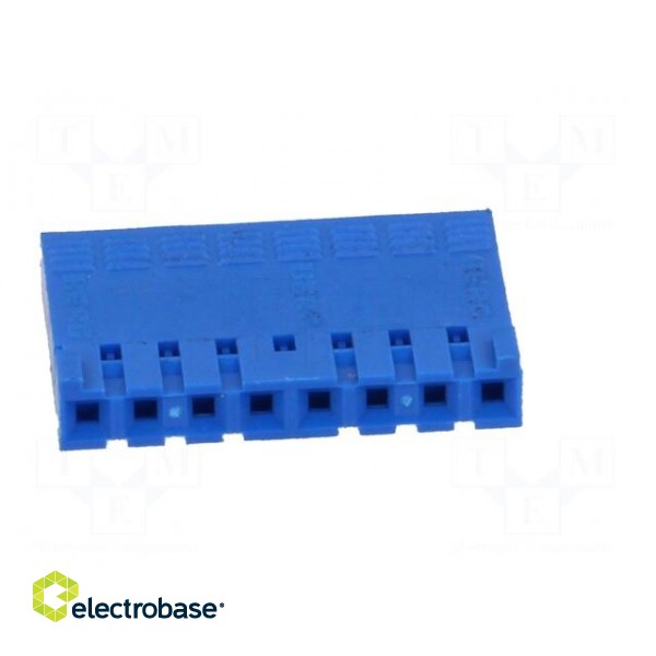 Plug | wire-board | female | PIN: 8 | w/o contacts | 2.54mm | for cable paveikslėlis 9